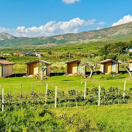 Fishta Guesthouse - Mrizi I Zanave Fishte المظهر الخارجي الصورة