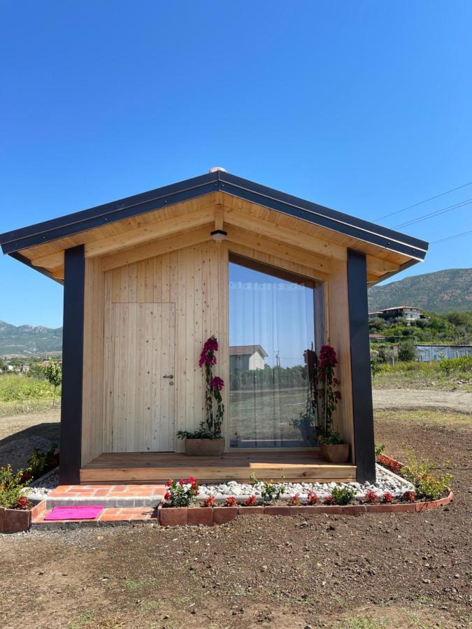 Fishta Guesthouse - Mrizi I Zanave Fishte المظهر الخارجي الصورة